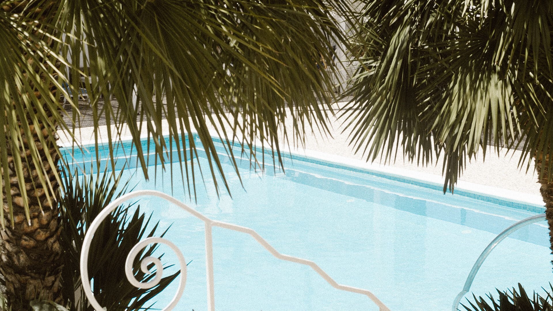 Pool mit Palmen im Ippocampi Hotel