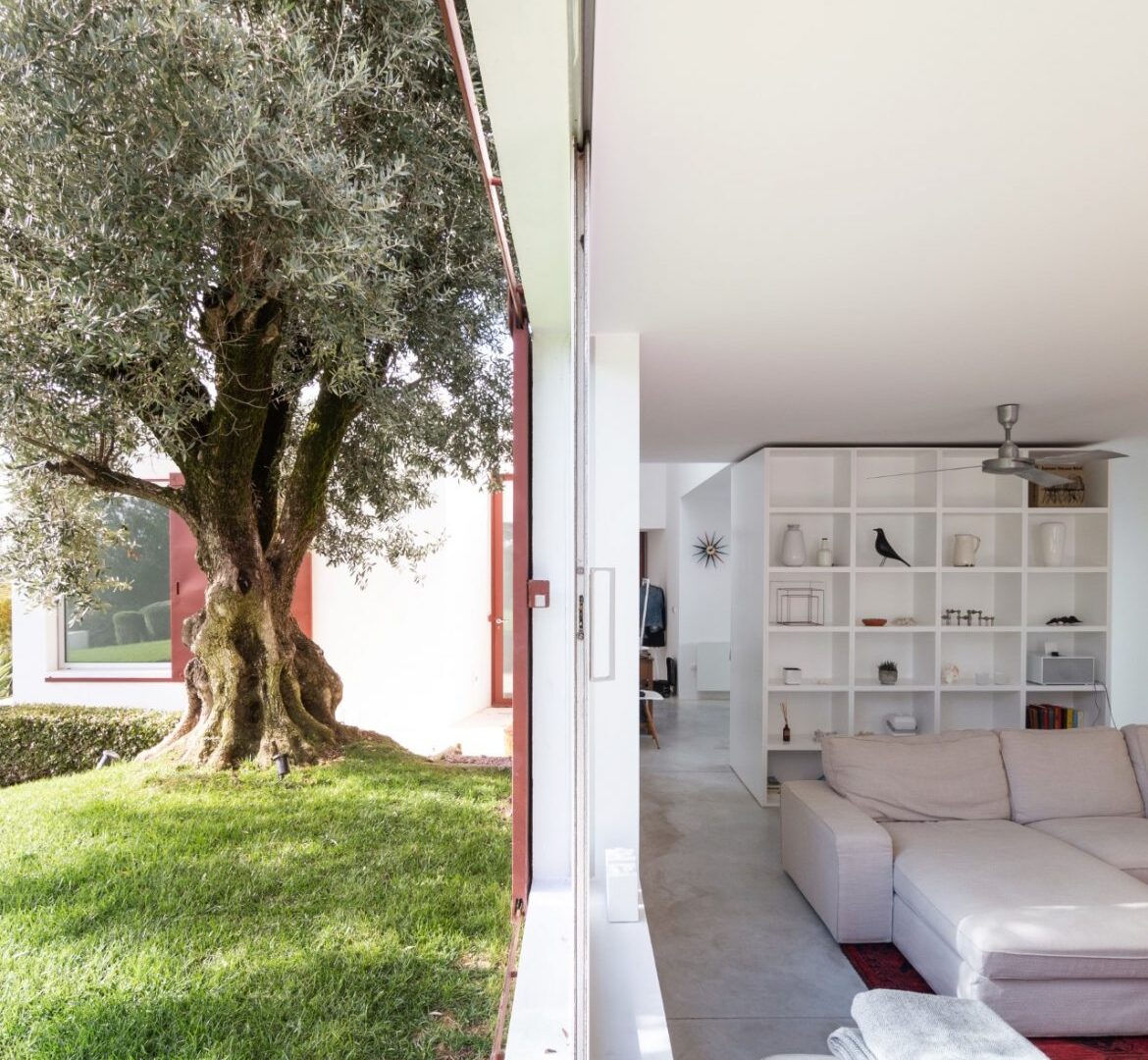 Blick in den Garten (links) und den Wohnraum (rechts)