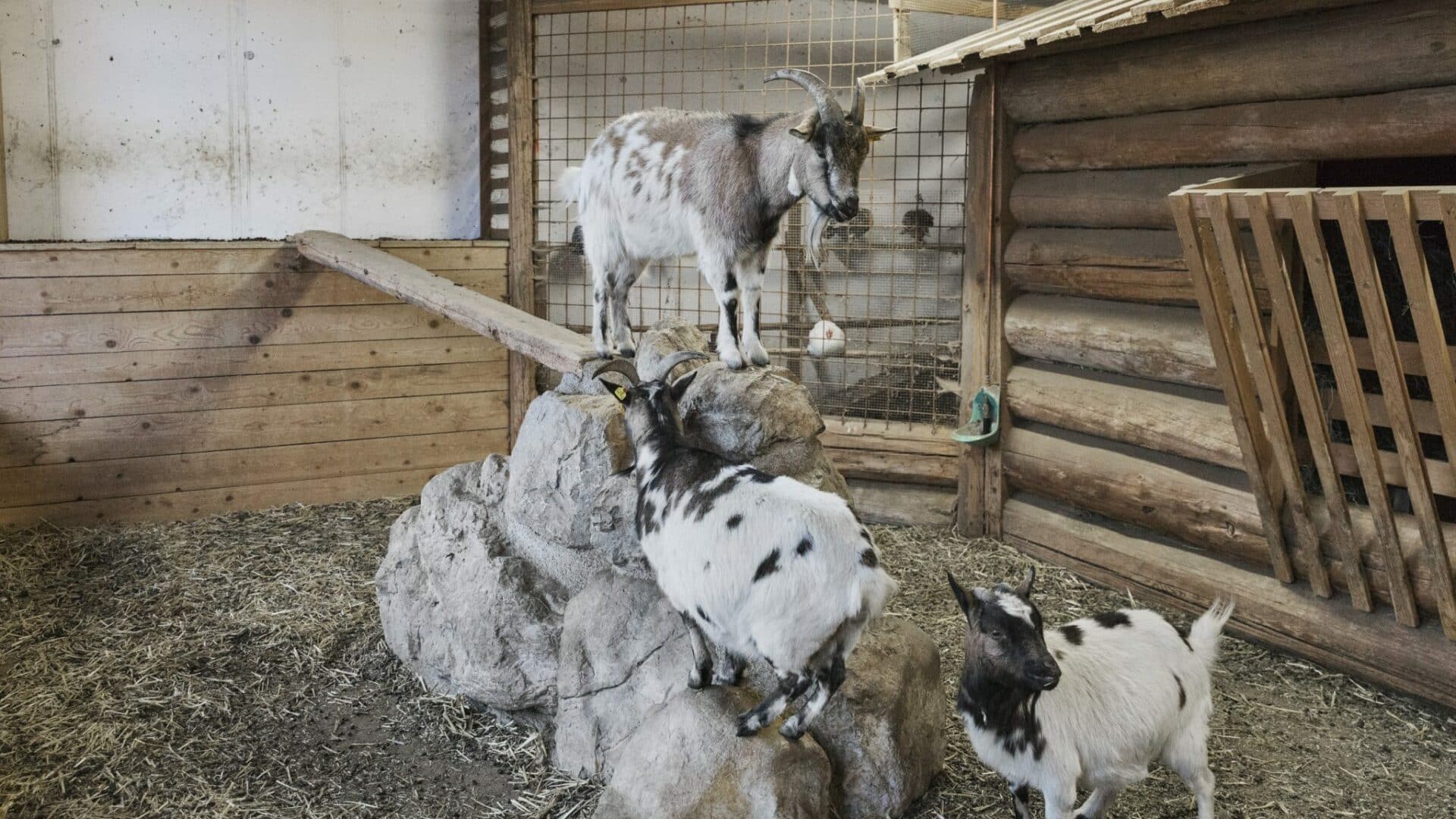Austria, Ramsau, Ramsbergerhof