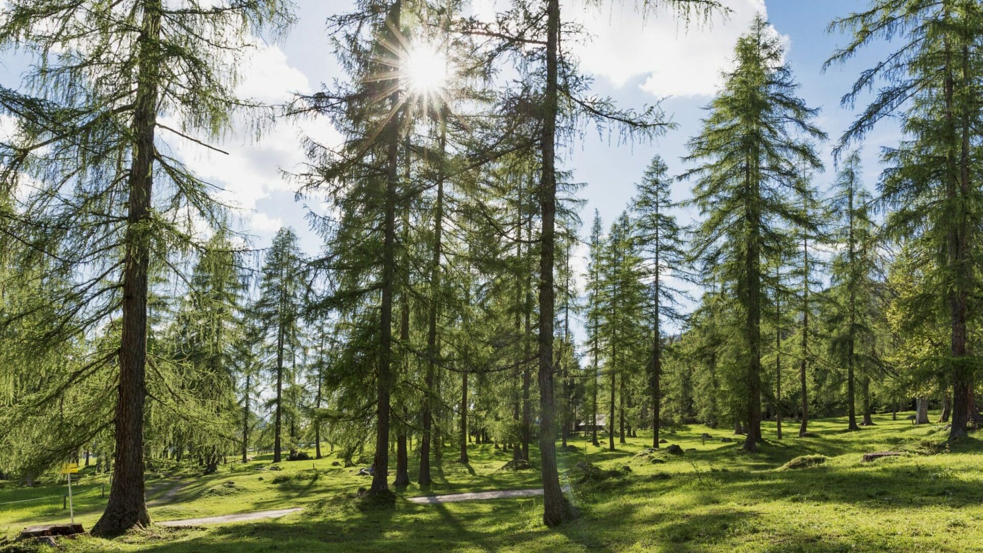 Europe, Austria, Ramsau, Ramsbergerhof