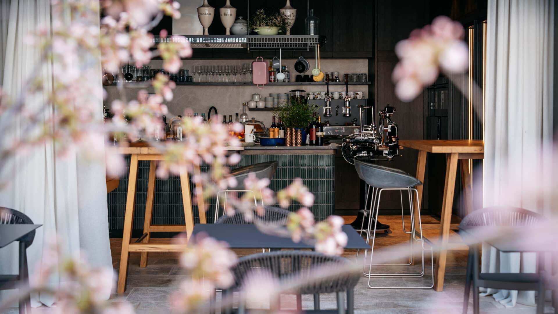 Bar mit Kirschblütenzweig im Vordergrund, Refugium Lunz