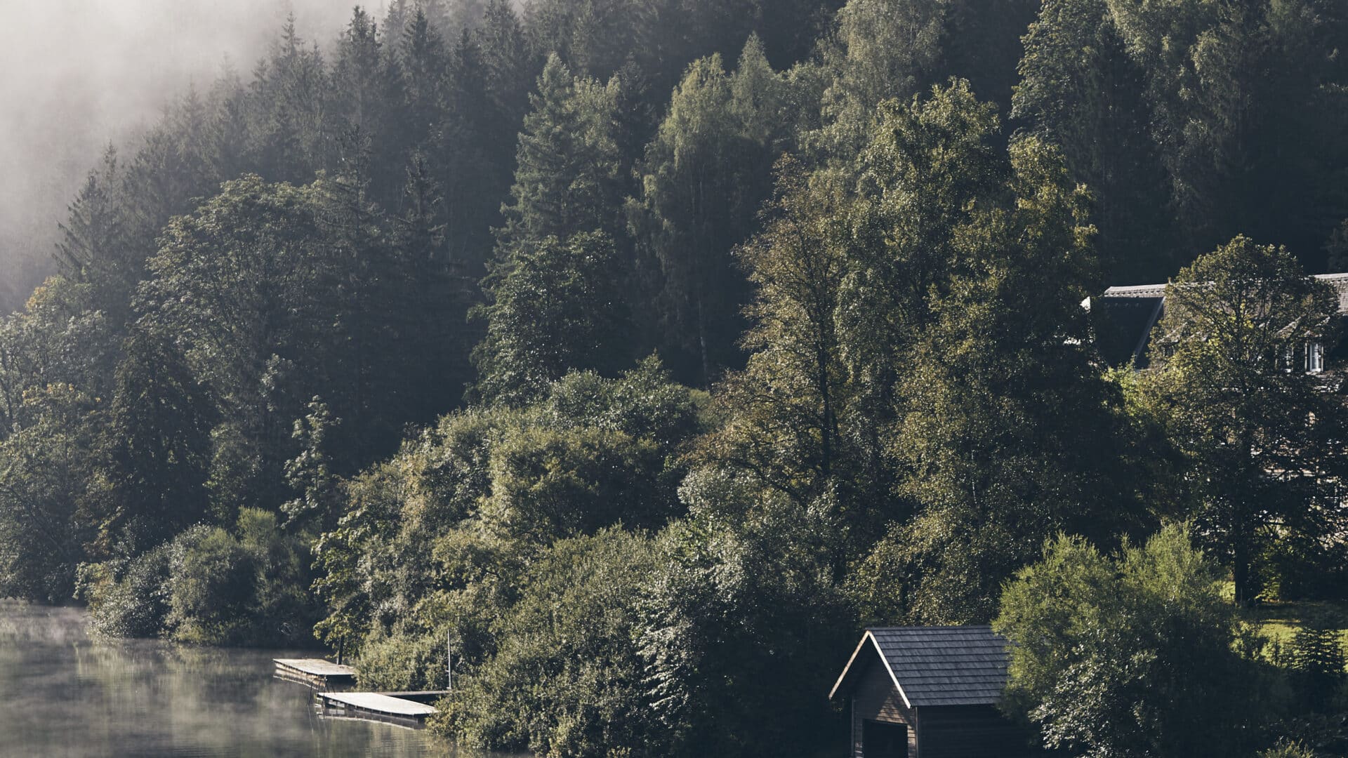 See und Waldufer beim Refugium Lunz