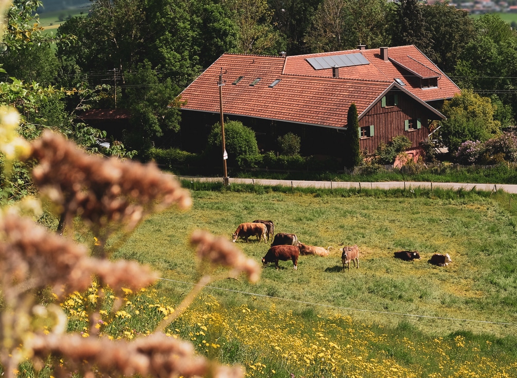 Das Rosso, Natur, Design-Ferienwohnungen, Allgäu, Bayern, Architektur, Holz, Design, Deutschland