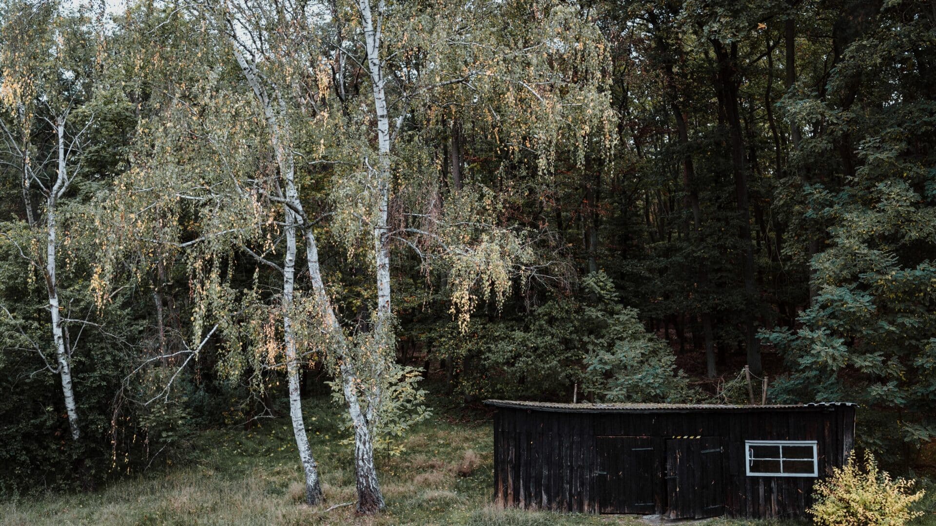 Gartenhäuschen und Wald im Spreewaldhaus