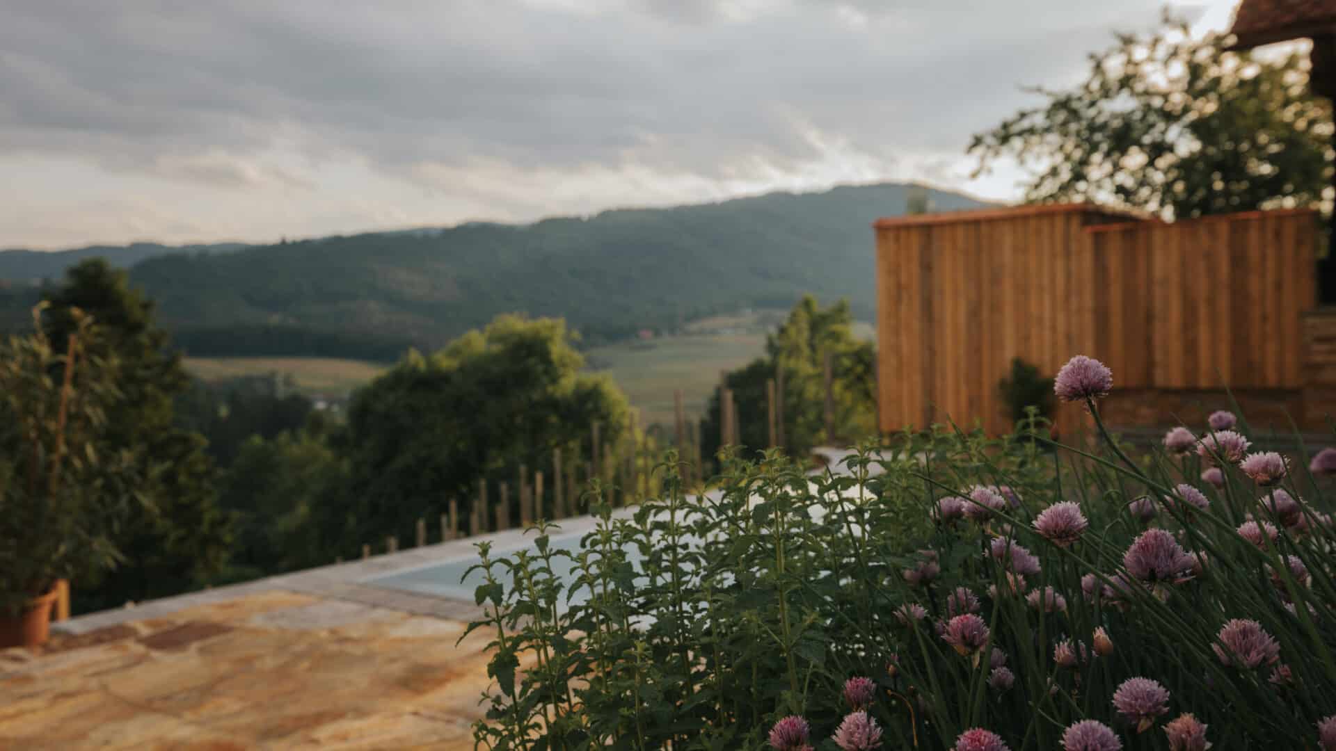 Blick auf den Pool, Am Wildbachberg